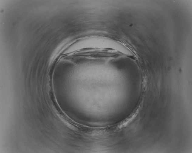 X0000068740101200605262101