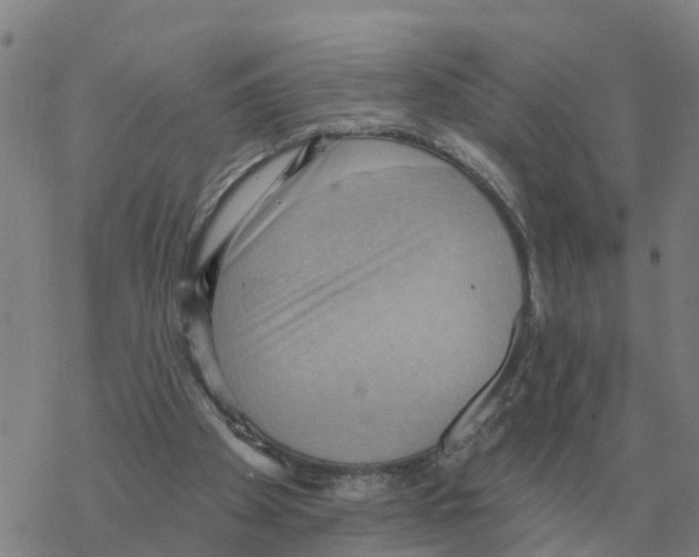 X0000068740105200605262101