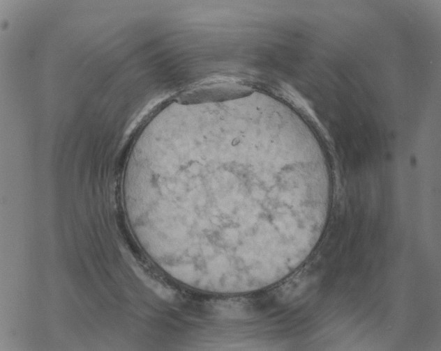 X0000068740106200605262101