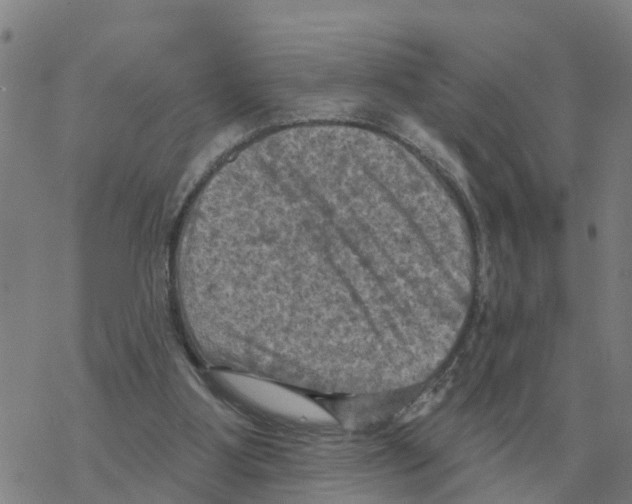 X0000068740107200605262101