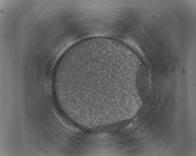 X0000068740108200605262101