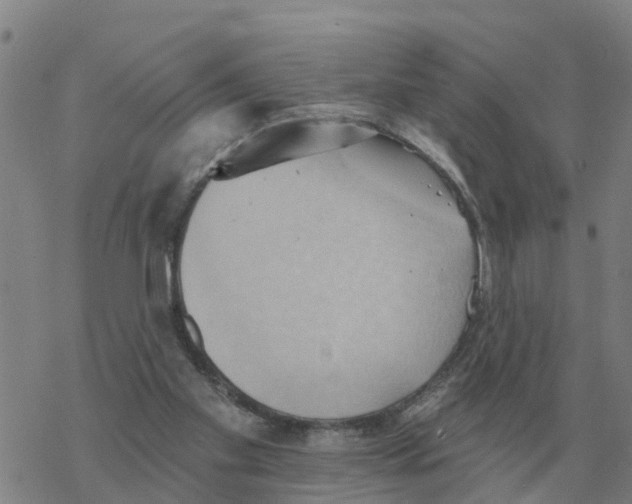 X0000068740109200605262101