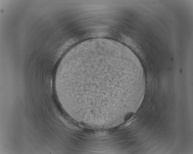 X0000068740110200605262101