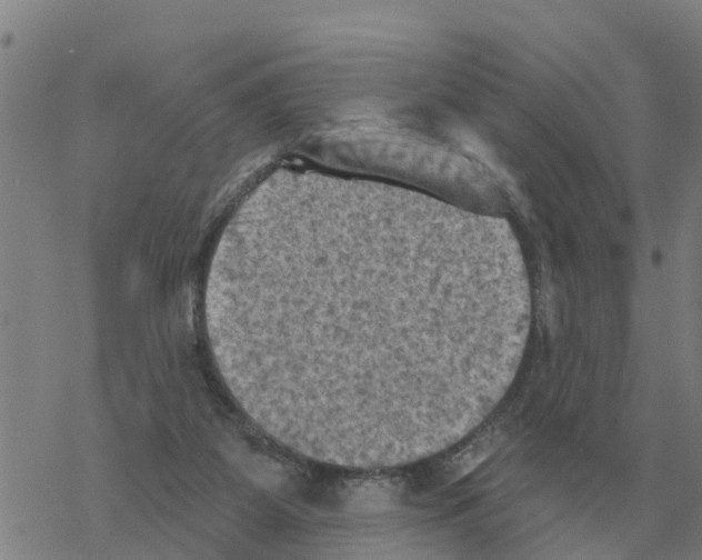 X0000068740115200605262100