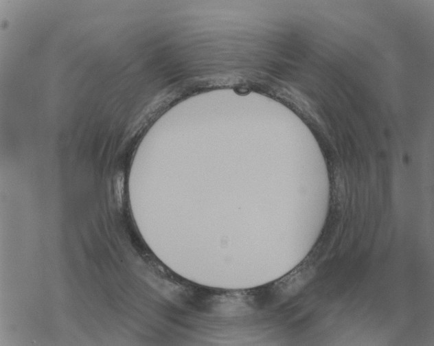 X0000068740118200605262100