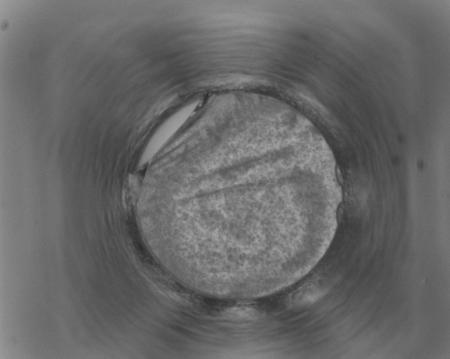 X0000068740119200605262100