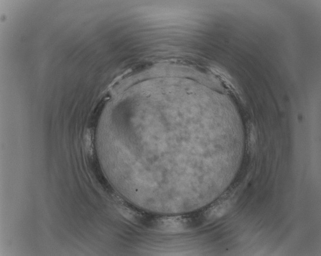 X0000068740121200605262100