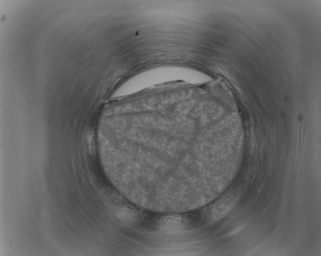 X0000068740123200605262100