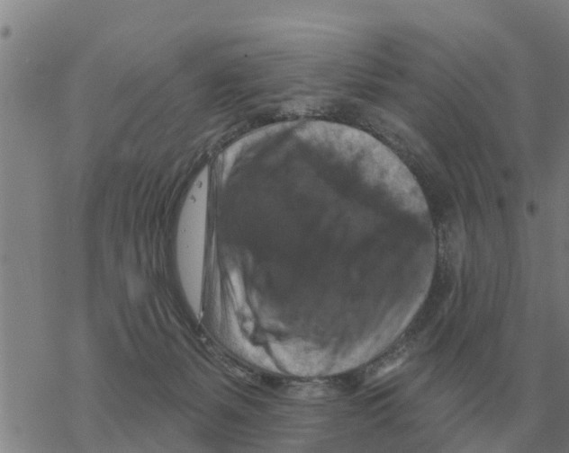 X0000068740127200605262100