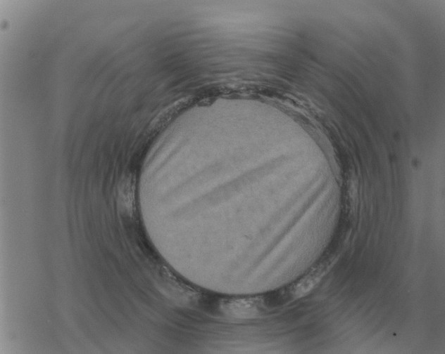 X0000068740129200605262100