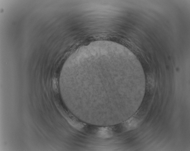 X0000068740130200605262100