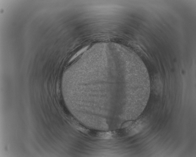 X0000068740131200605262100