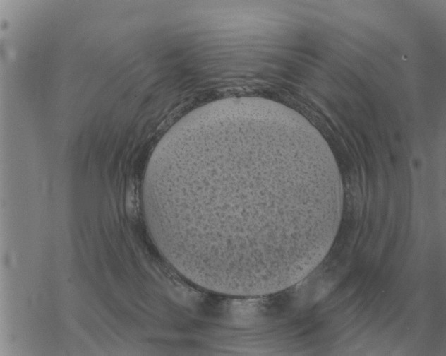 X0000068740134200605262100