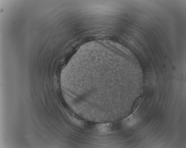 X0000068740136200605262100