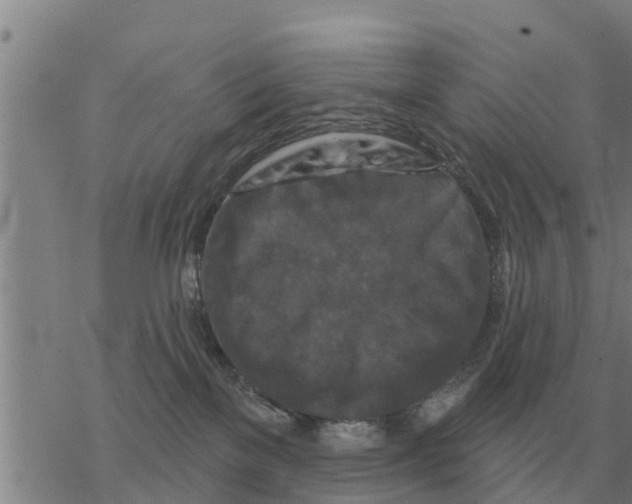 X0000068740137200605262100