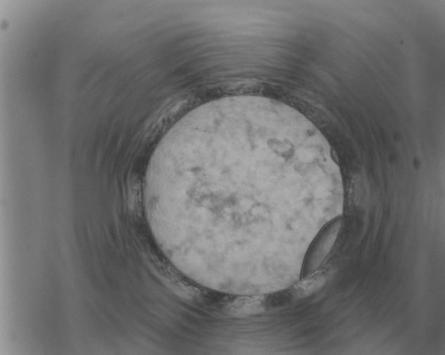 X0000068740138200605262100