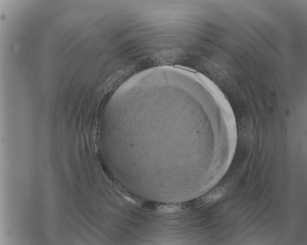 X0000068740139200605262100