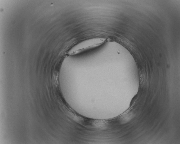 X0000068740142200605262100