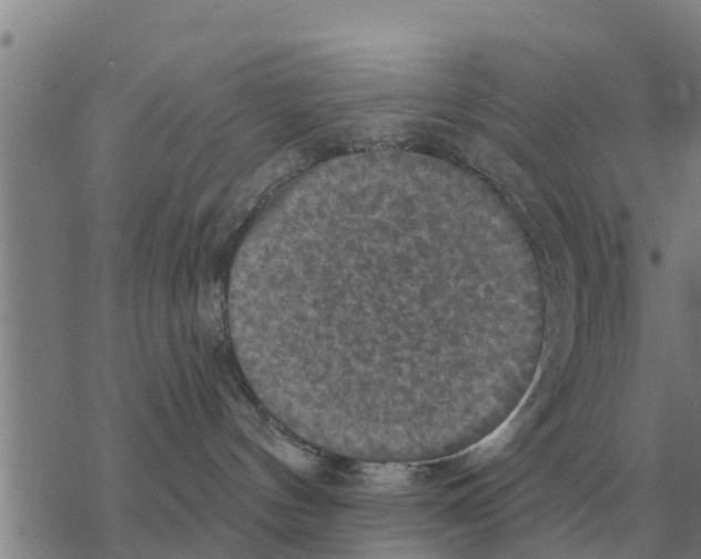 X0000068740144200605262100