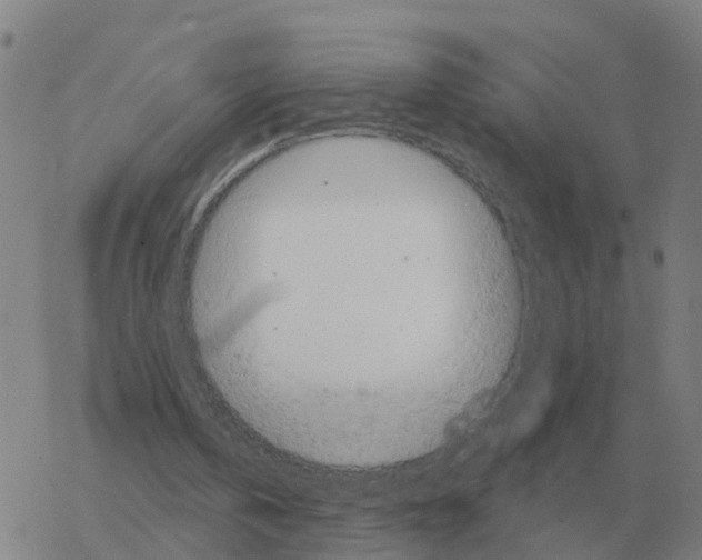 X0000068740146200605262059