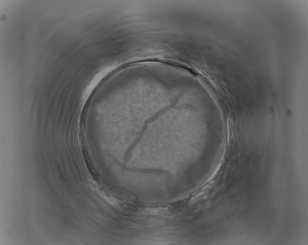 X0000068740147200605262059