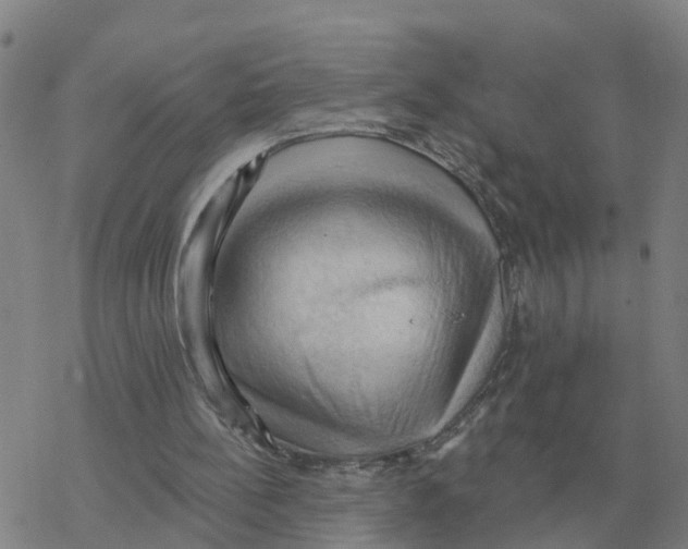 X0000068740148200605262059