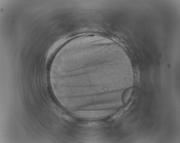 X0000068740149200605262059