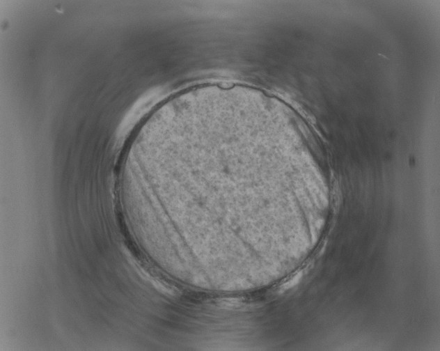 X0000068740151200605262059