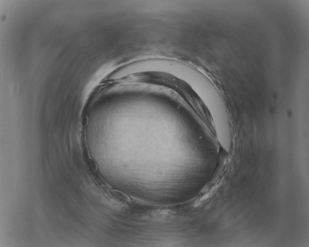 X0000068740152200605262059