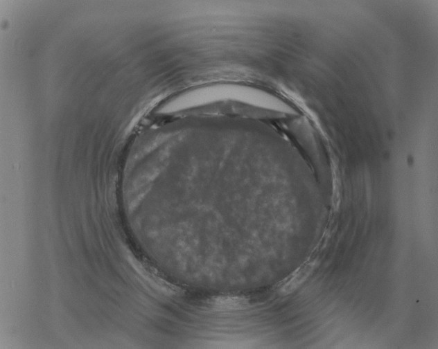 X0000068740154200605262059