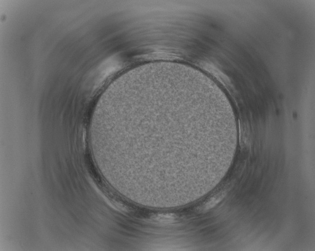 X0000068740157200605262059