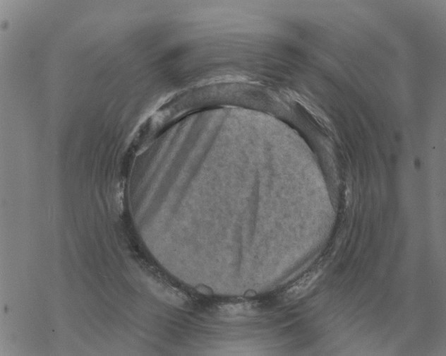 X0000068740160200605262059