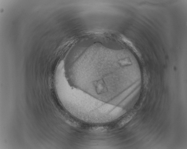 X0000068740161200605262059