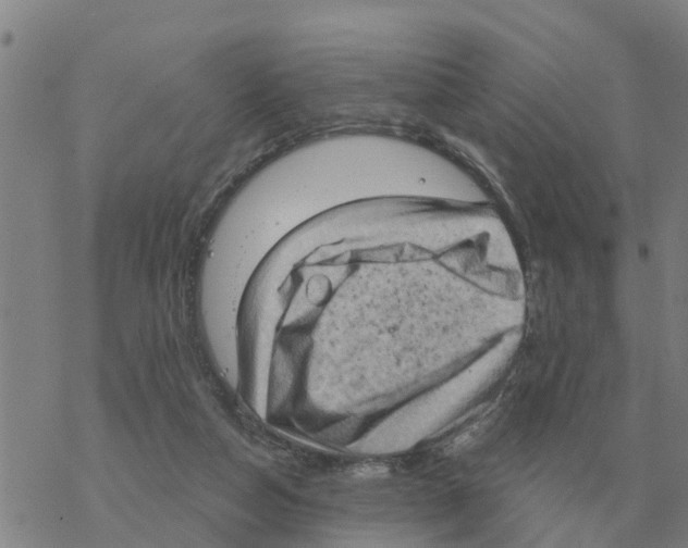 X0000068740162200605262059