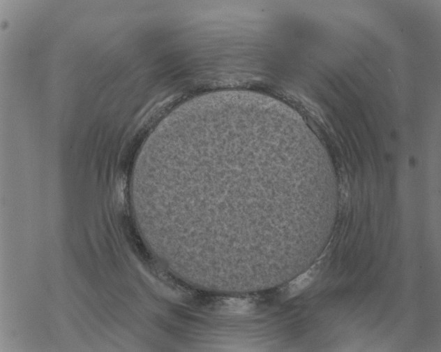 X0000068740166200605262100