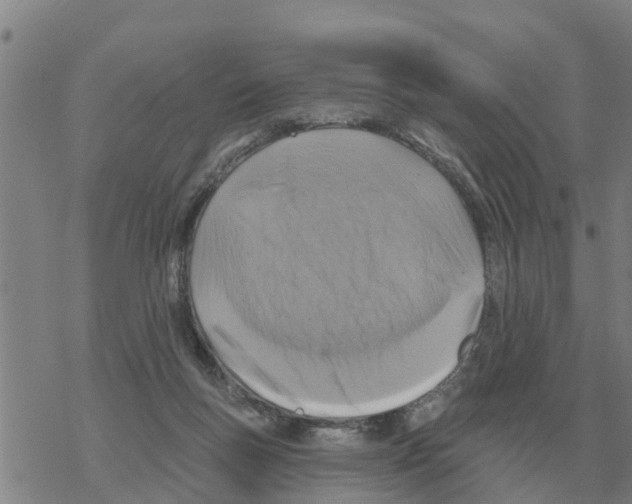 X0000068740167200605262100