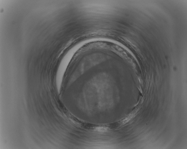 X0000068740168200605262100