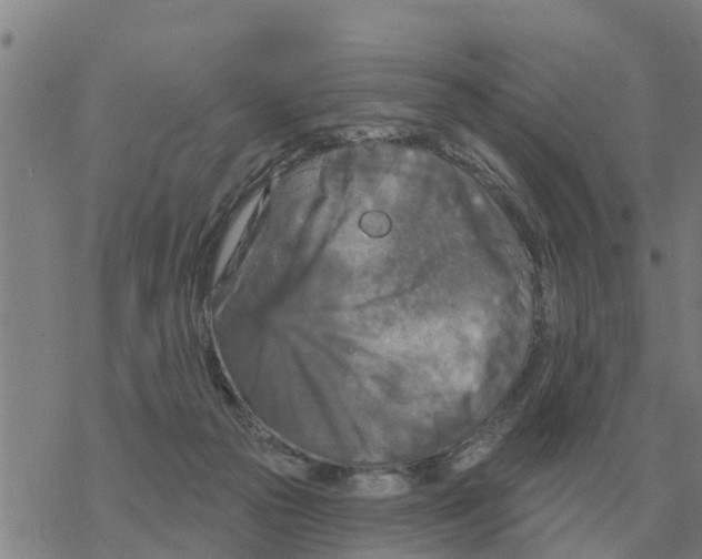 X0000068740169200605262100