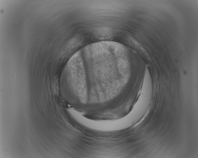 X0000068740170200605262100