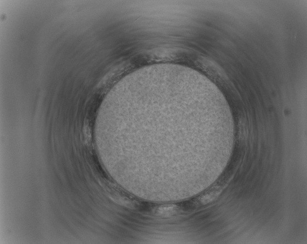 X0000068740173200605262100