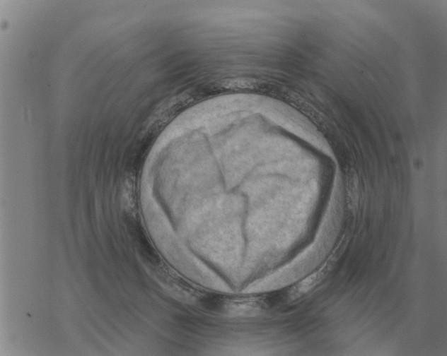 X0000068740175200605262100