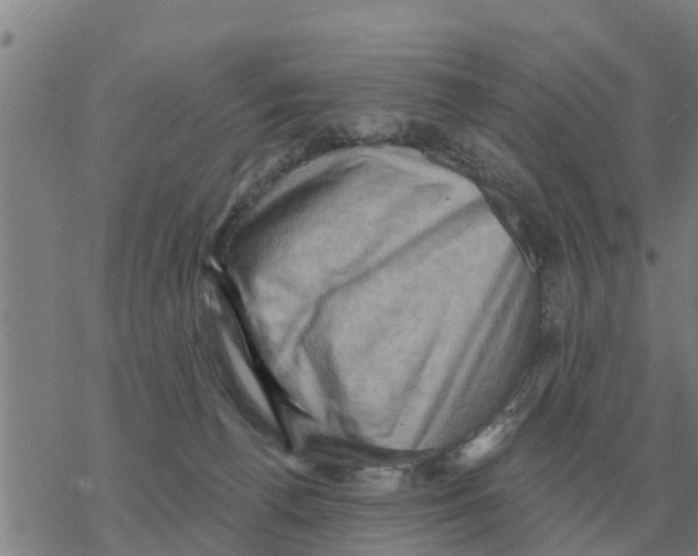 X0000068740176200605262100