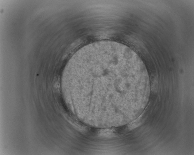 X0000068740179200605262100