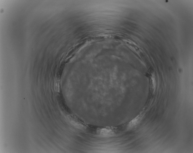 X0000068740180200605262100