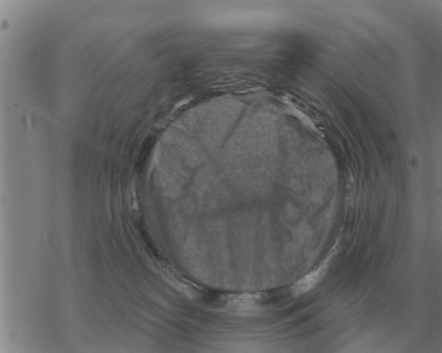 X0000068740182200605262100