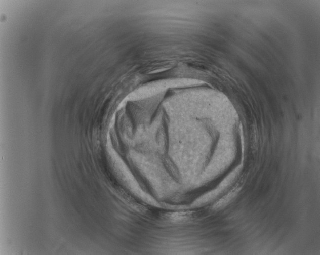 X0000068740184200605262100