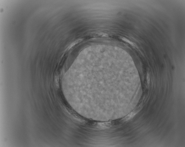 X0000068740188200605262100