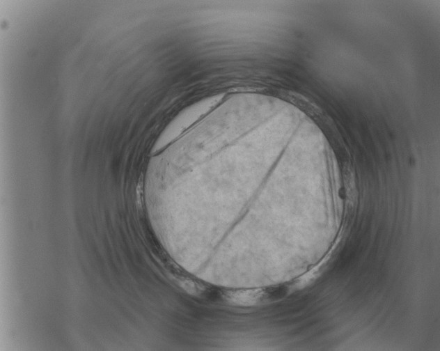 X0000068740191200605262100