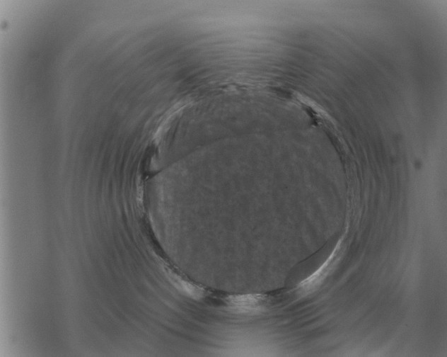 X0000068740192200605262100