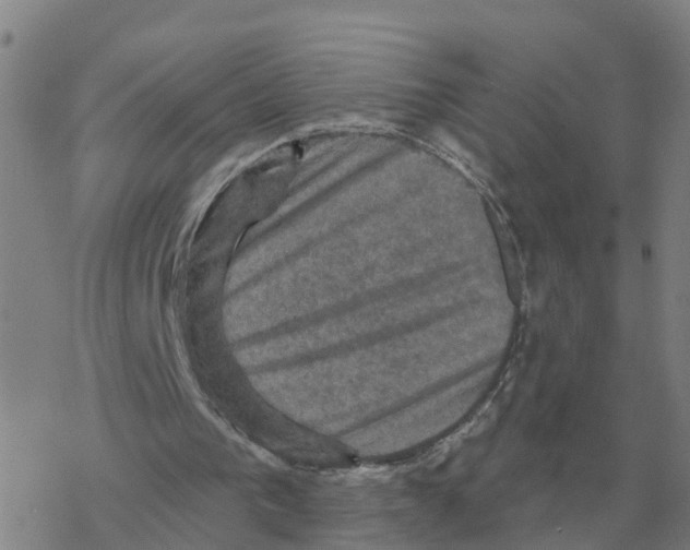 X0000068740193200605262059